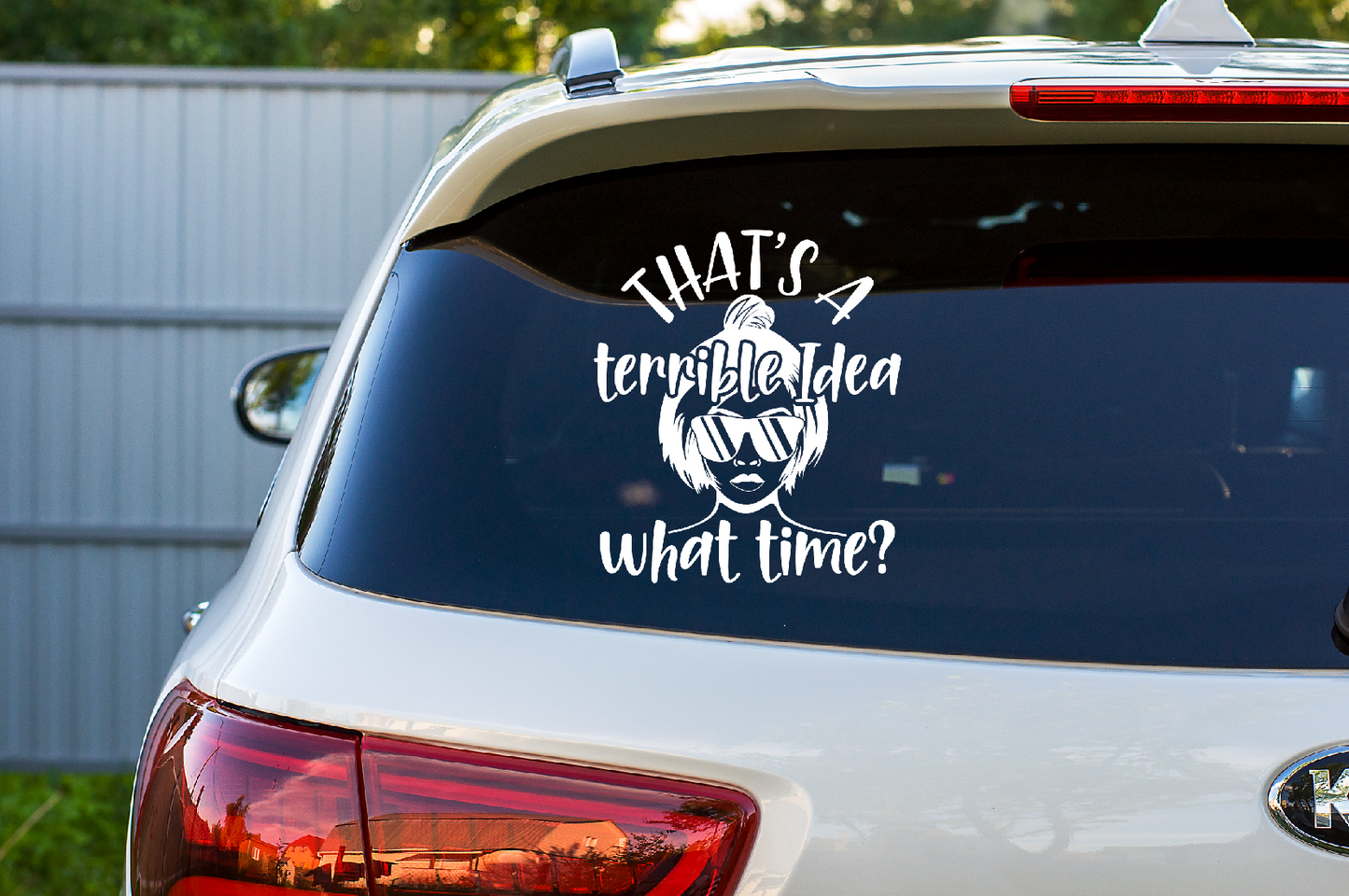 Car Decal That's A Terrible Idea 35