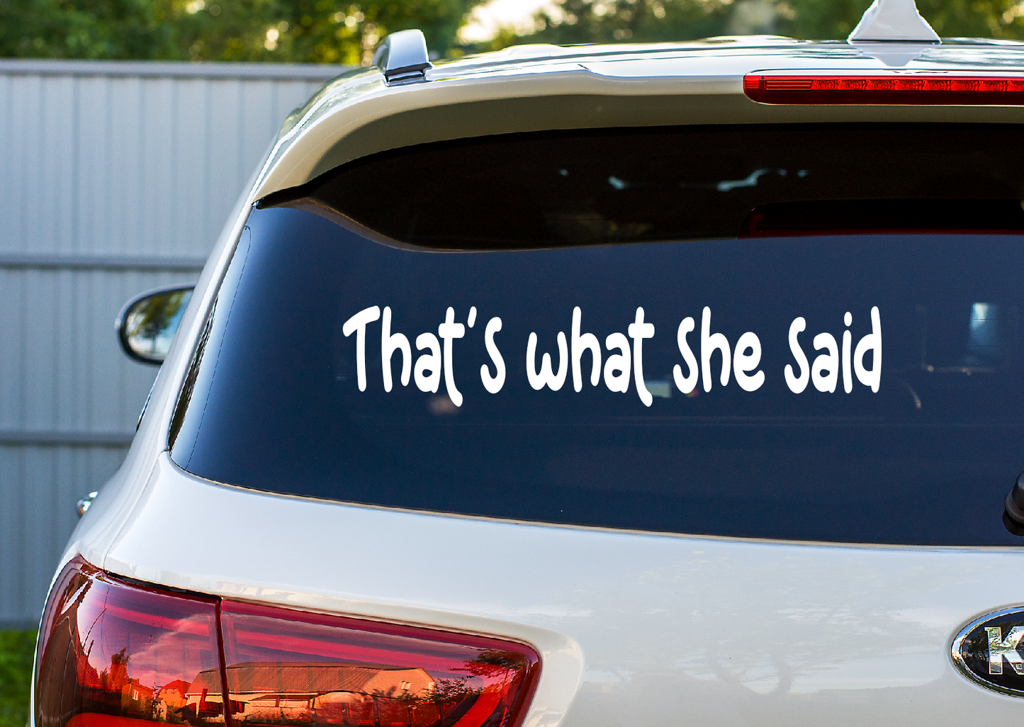 Car Decal That's What She Said 36